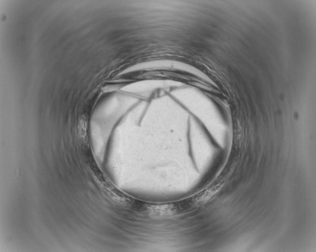 X0000058770281200510211730