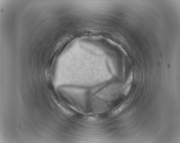 X0000058770285200510211731