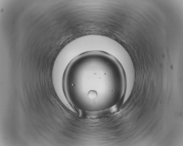 X0000058770287200510211731
