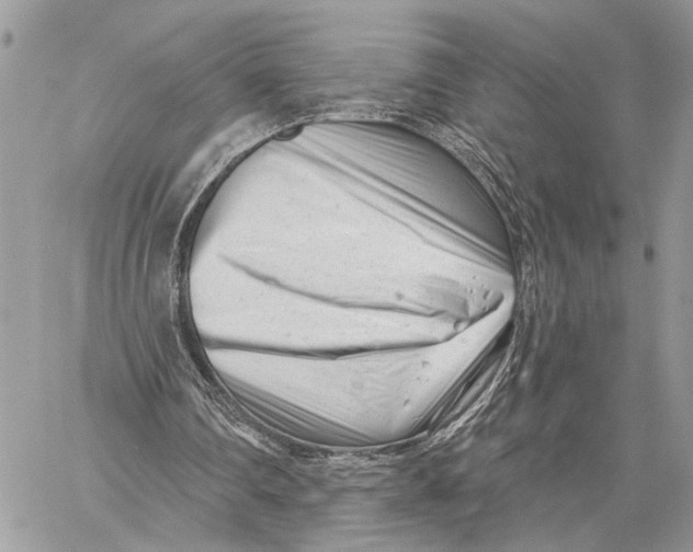 X0000058770290200510211730