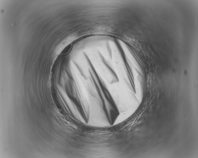 X0000058770292200510211730