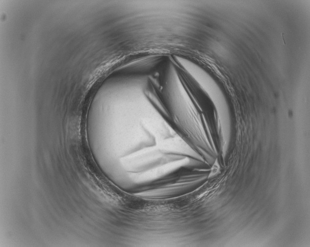 X0000058770299200510211730