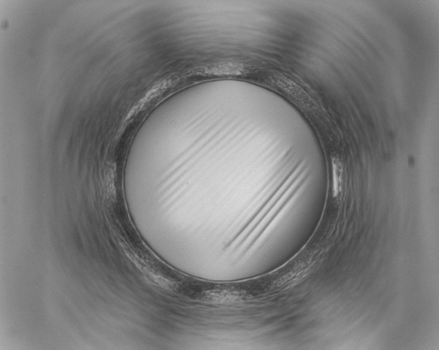 X0000058770300200510211730