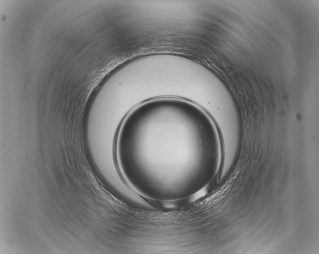 X0000058770301200510211730