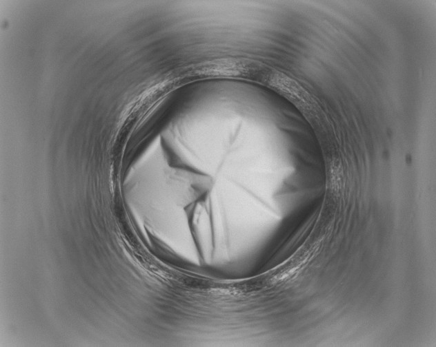 X0000058770302200510211730