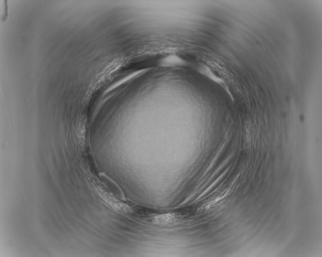 X0000058770309200510211729