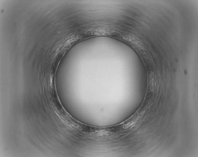 X0000058770310200510211729