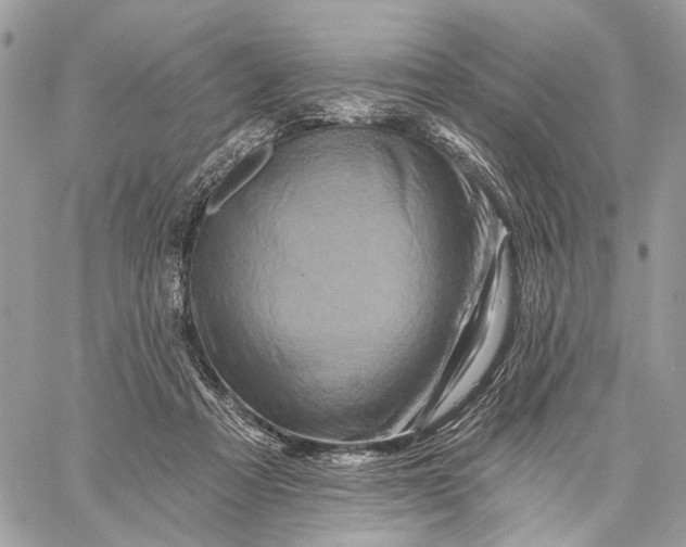 X0000058770313200510211729
