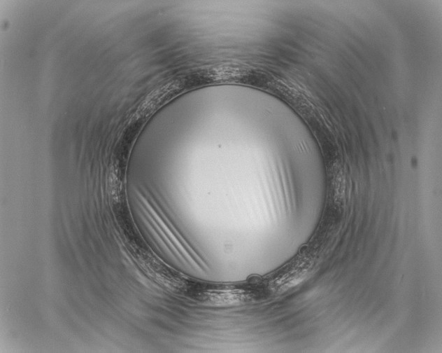 X0000058770316200510211729