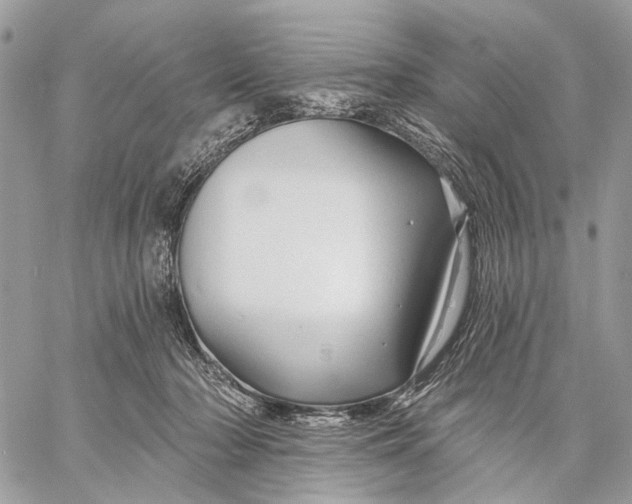 X0000058770318200510211729