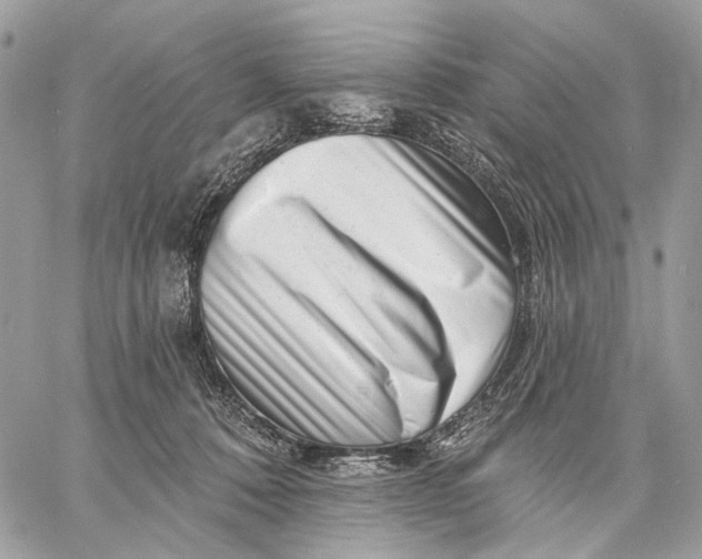 X0000058770320200510211729