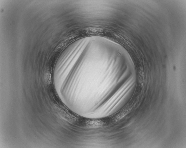 X0000058770324200510211729