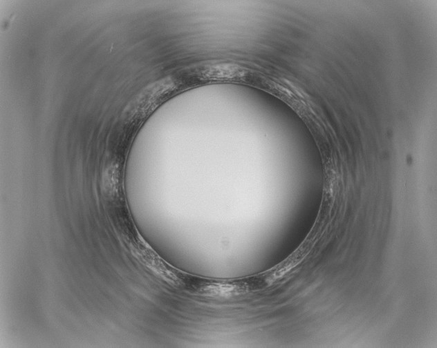 X0000058770326200510211729
