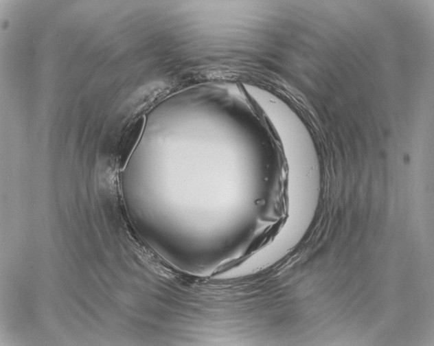 X0000058770329200510211729