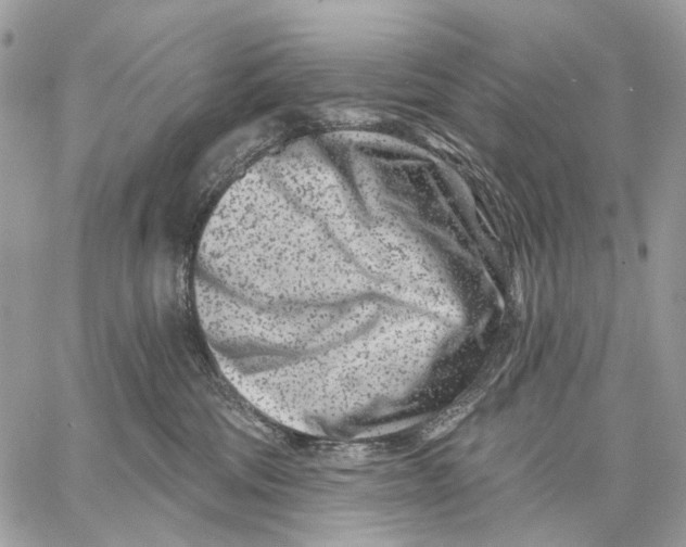 X0000058770330200510211729