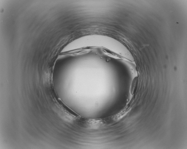 X0000058770333200510211729