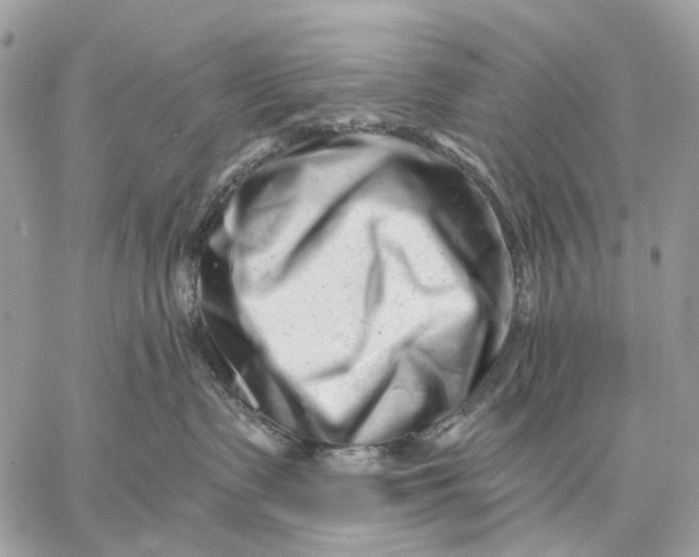 X0000058770335200510211729