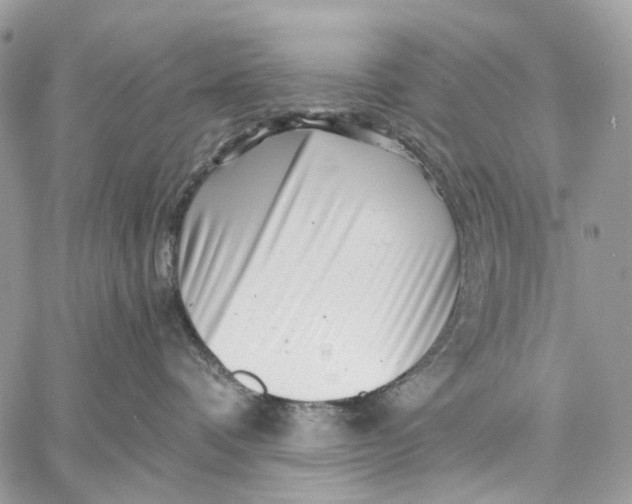 X0000058770336200510211729