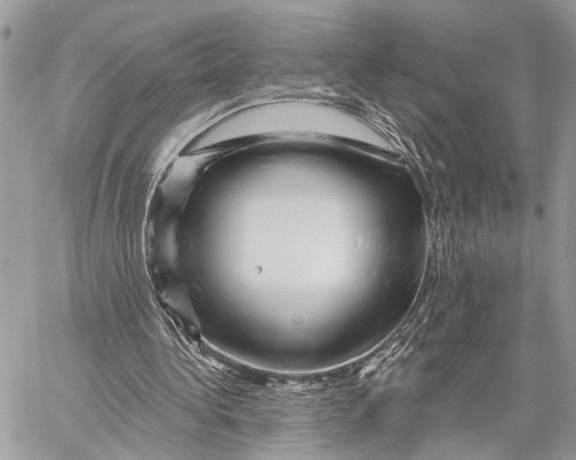 X0000058770340200510211728
