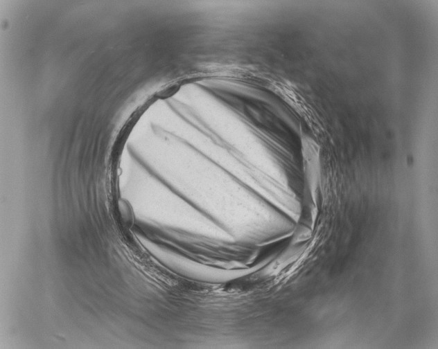 X0000058770342200510211728