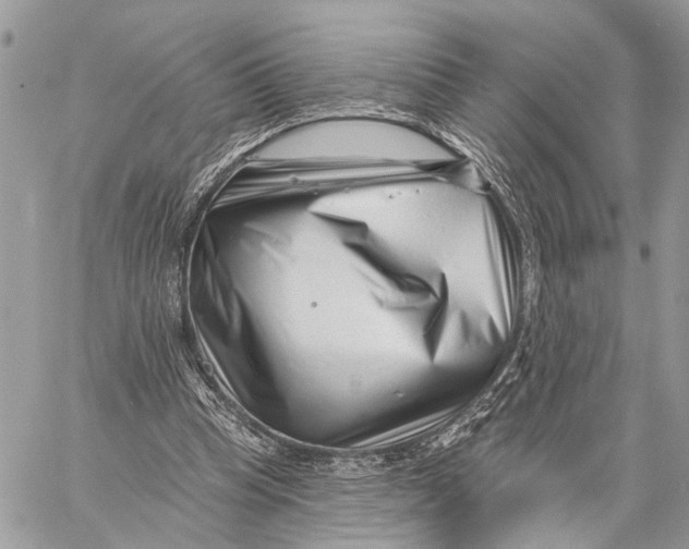 X0000058770345200510211728