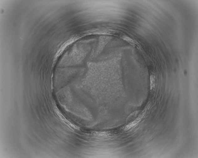 X0000058770349200510211728