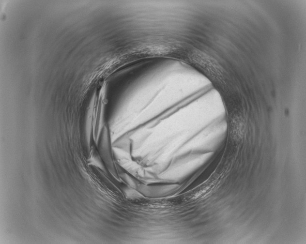 X0000058770358200510211729