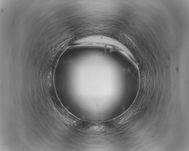 X0000058770364200510211729