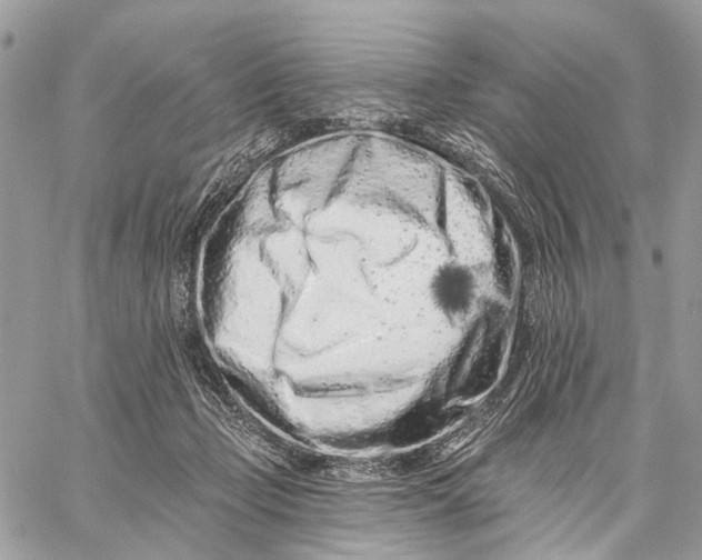 X0000058770365200510211729