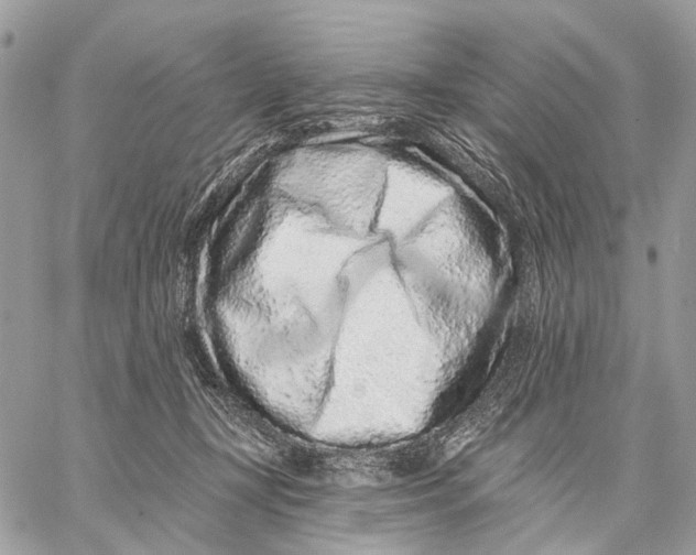 X0000058770367200510211729