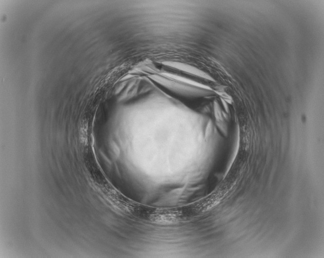 X0000058770368200510211729