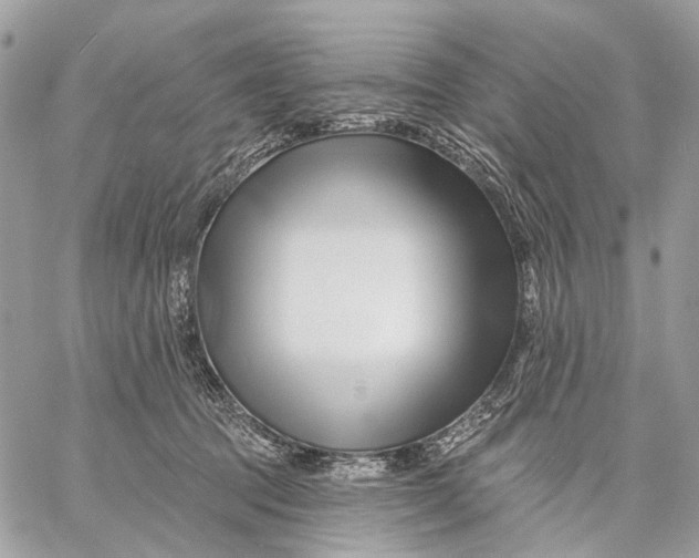 X0000058770369200510211729
