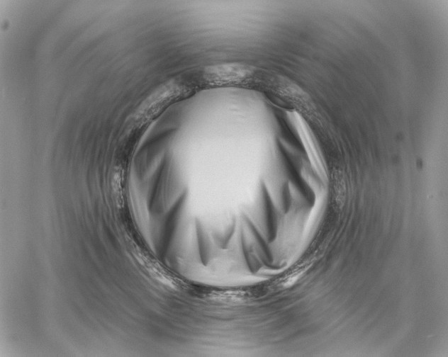 X0000058770378200510211729