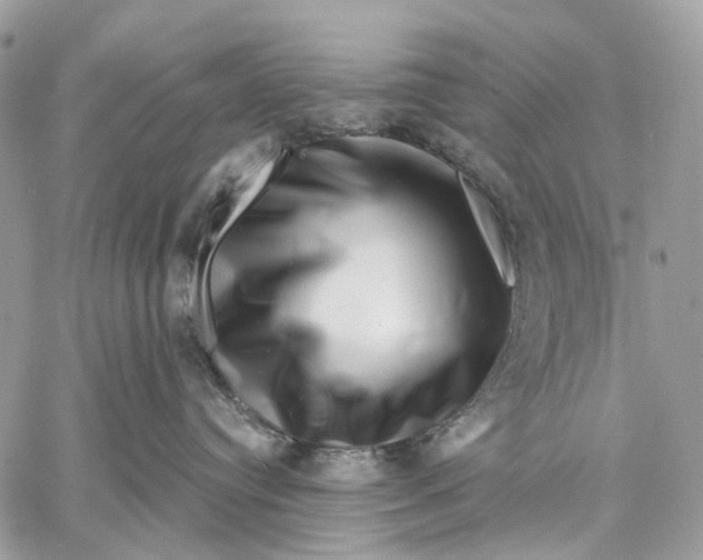 X0000058770384200510211729