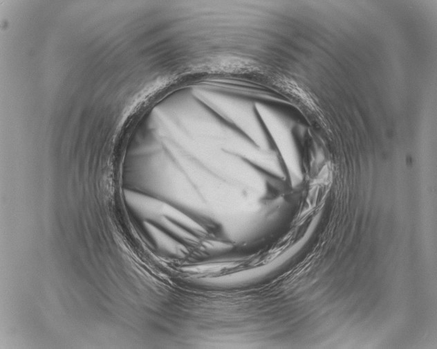 X0000058770392200510211728