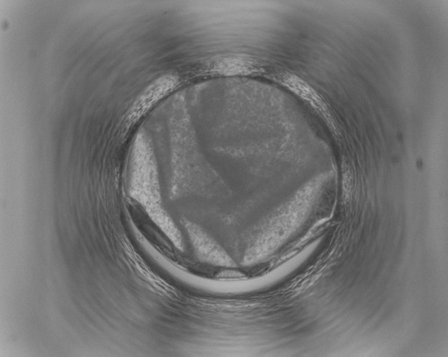 X0000058770393200510211728