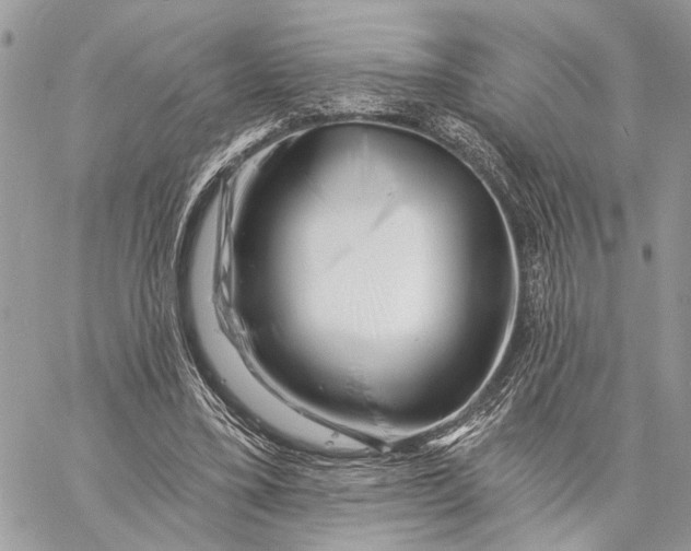 X0000058770395200510211728