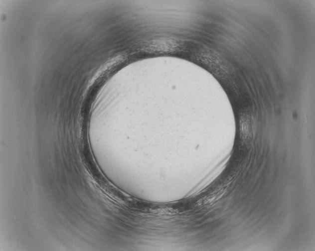 X0000058770396200510211728