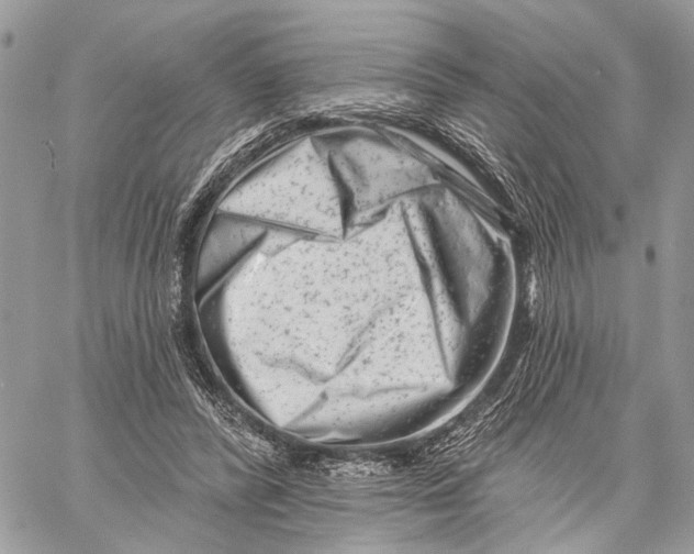 X0000058770400200510211728