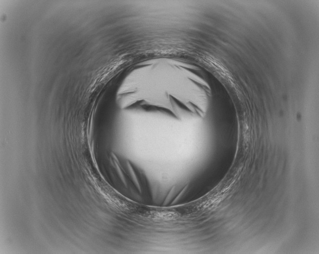 X0000058770401200510211728