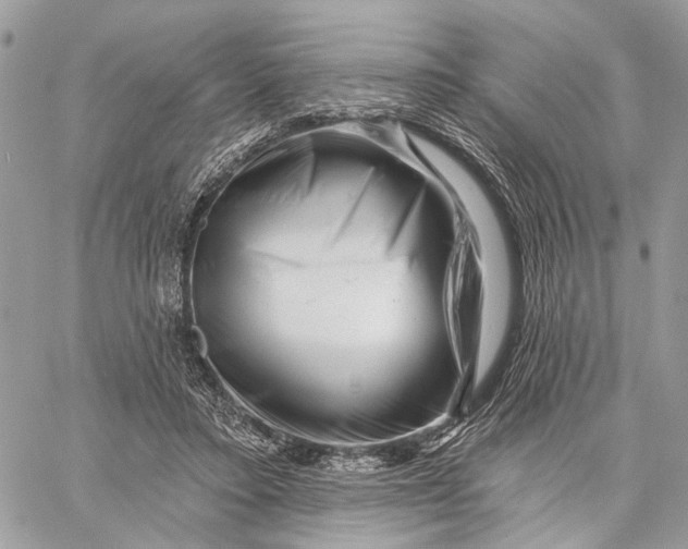 X0000058770403200510211728