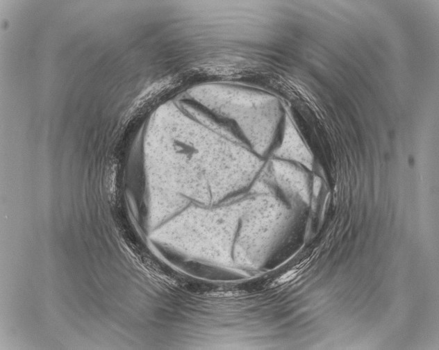 X0000058770404200510211728