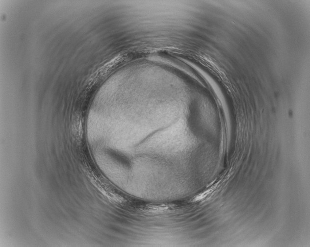 X0000058770405200510211728