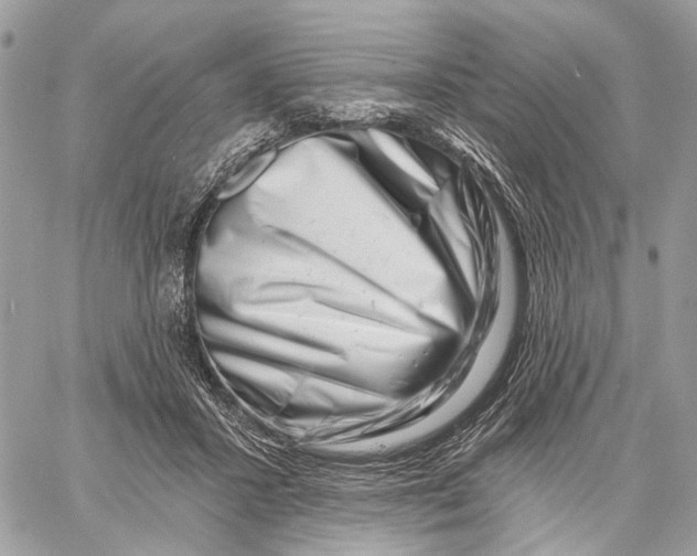 X0000058770407200510211728