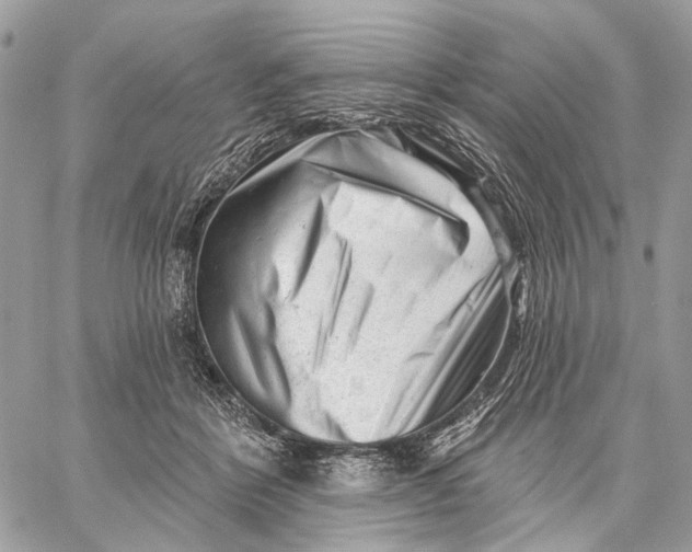 X0000058770412200510211728