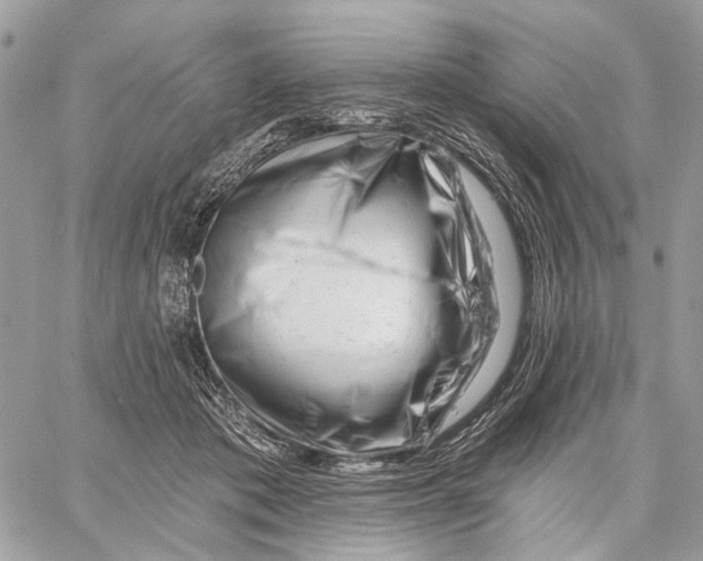 X0000058770413200510211728