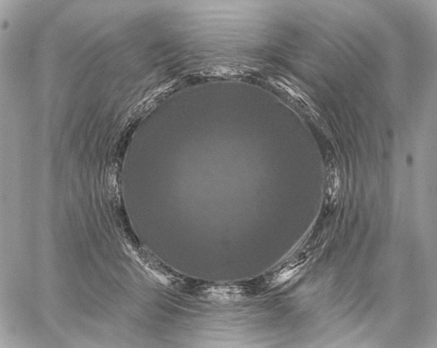 X0000058770415200510211728