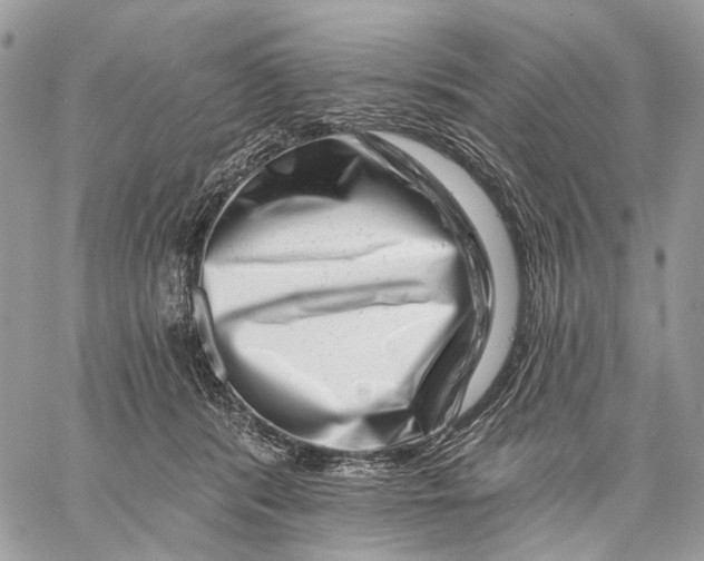 X0000058770416200510211728