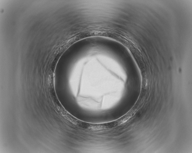 X0000058770417200510211728