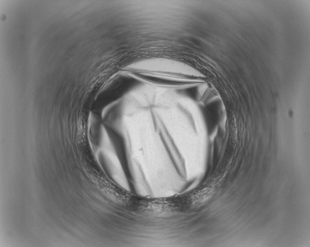 X0000058770420200510211728